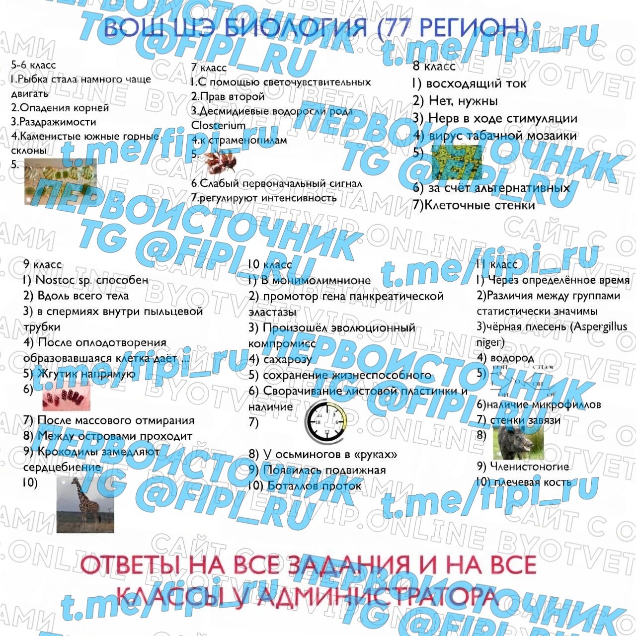 ВсОШ · Биология