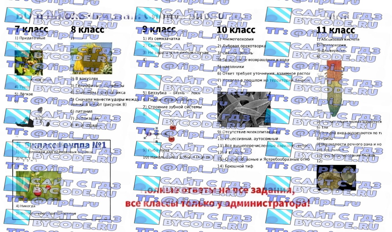 ВОШ Сириус ШЭ (Школьный Этап): Биология (6 октября)