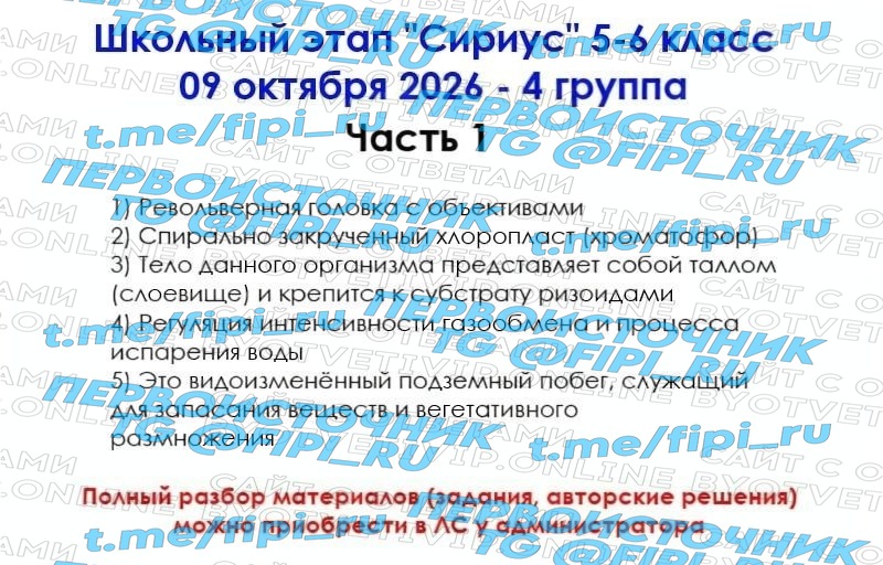 ВОШ Сириус ШЭ (Школьный Этап): Биология 5-6 классы (8 октября)