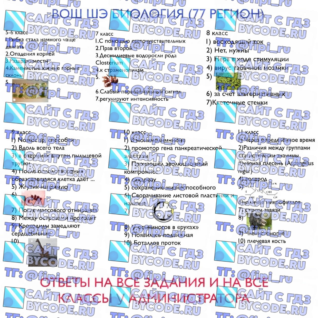 ВОШ ШЭ (Школьный Этап): Биология (77 регион - г.Москва)